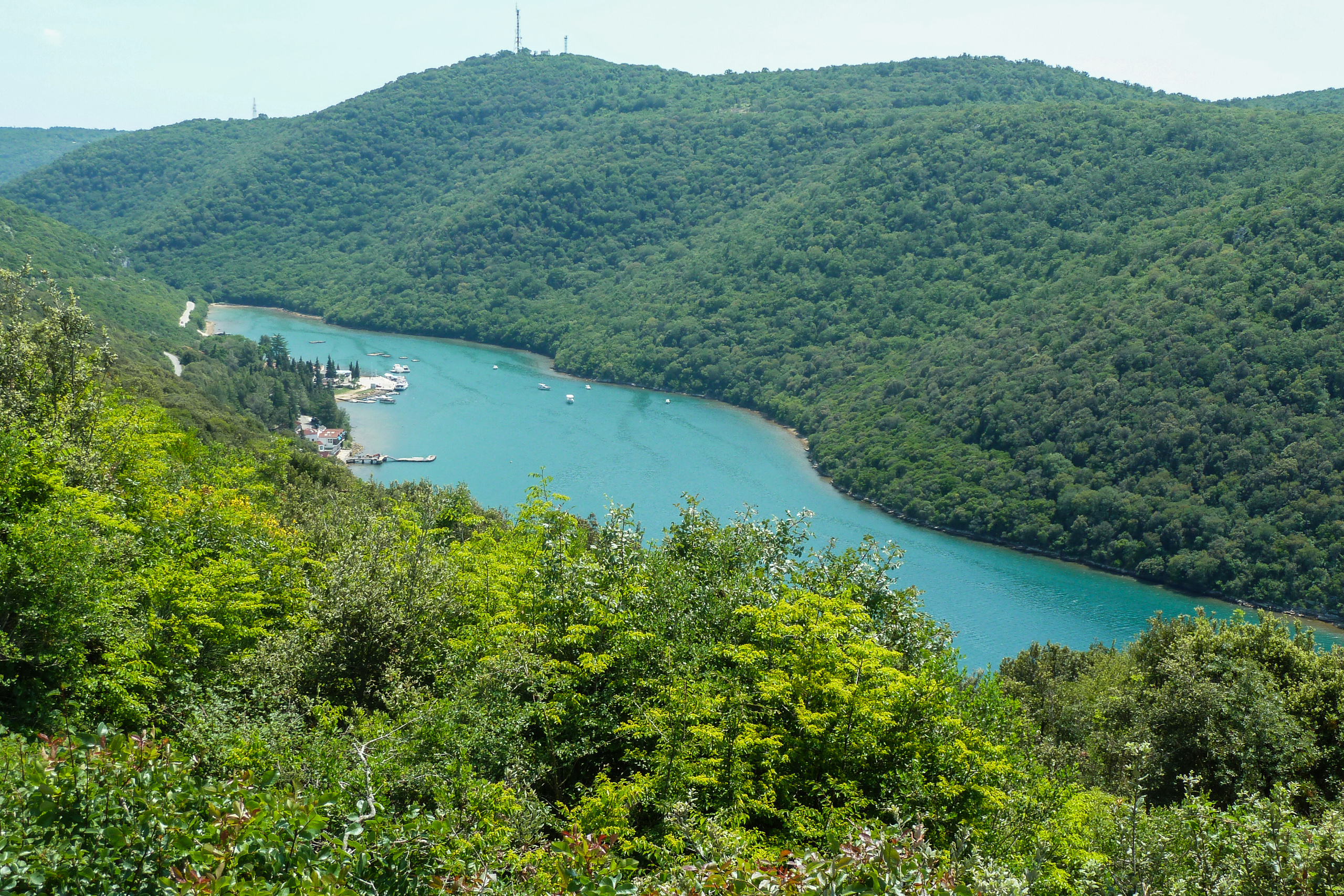 Limski Kanal von oben – türkises Fjord im Grünen